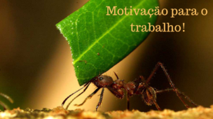 Motivação-para-o-trabalho